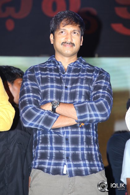 Loukyam-Movie-Audio-Success-Function